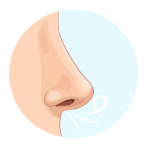 choroby nosa